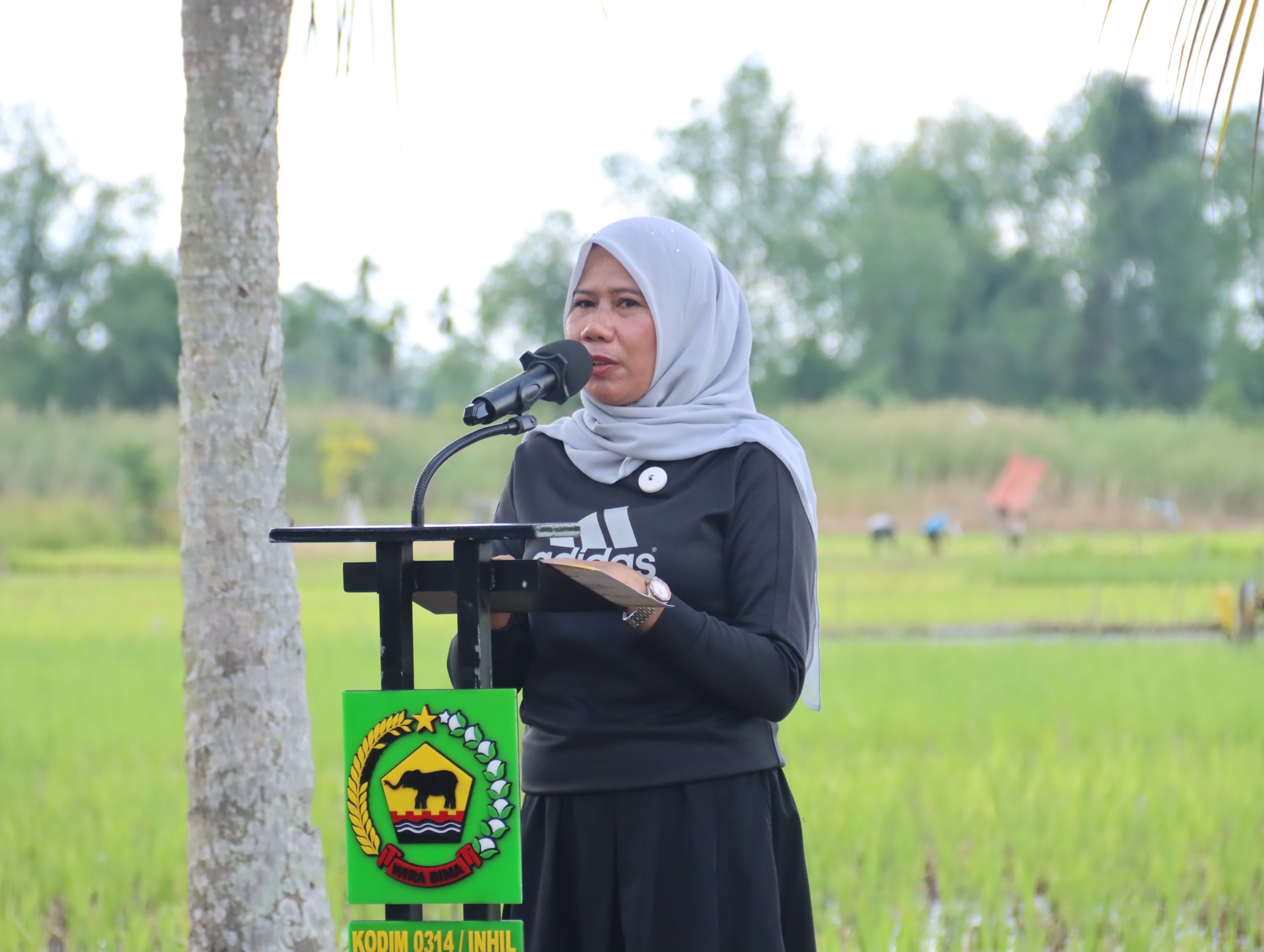 Pemkab Inhil Gelar Penanaman Padi Serentak di Tempuling, Dorong Swasembada Pangan